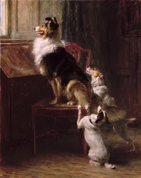Zarezerwowane miejsce, 1901