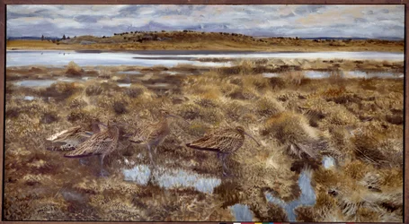 Curlews Ptaki na bagnach. Obraz Bruno Andreasa Liljeforsa (1860-1939) 1913 niedz. 1,19x2,2m