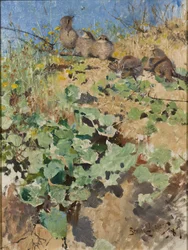 Pisklęta dzierzby gąsiorek, 1887