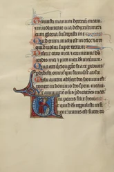 Initial U: Król