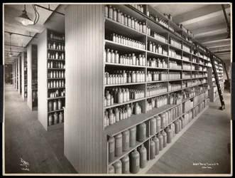 Widok wnętrza magazynu chemicznego w Parke, Davis und Co., chemicy, Hudson und Vestry Streets, Nowy Jork, 1910 (srebrny odbitka żelatynowa)