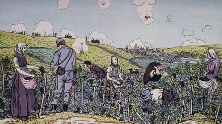 Nasi winiarze zbierali plony pod ostrzałem, winobranie w regionie Szampanii w 1914 roku, pierwsza wojna światowa, Francja, XX wiek
