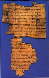 Kallimach, Coma Berenices, papirus
