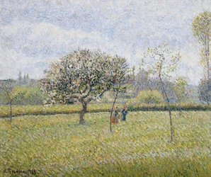 Jabłoń w Kwiecie w Eragny; Pommier en Fleur a Eragny, 1888