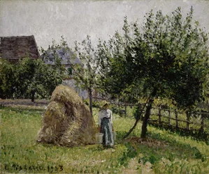Jabłonie w Eragny, słoneczny poranek, 1903