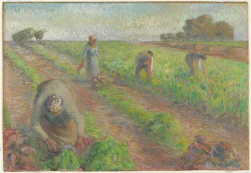 Żniwa buraków, 1881 (gwasz na graficie na lnie)