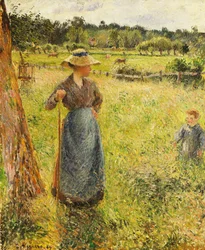Sianokosy, 1884