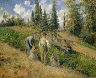 Die Ernte, Pontoise. / Żniwa, Pontoise, 1881 r.