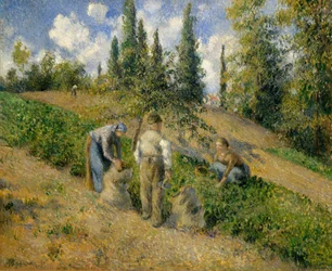 Żniwa, Pontoise Żniwa, Pontoise, 1881.