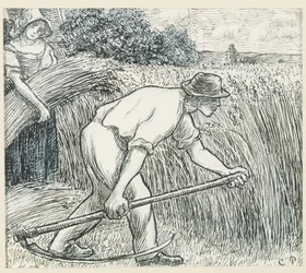 The Harvest, c.1895 (pióro i atrament z ołowianym białym gwaszem na papierze)