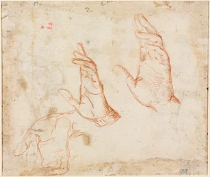 Studium rąk werso, c. 1590.