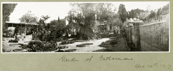 Ogród Getsemani, 14 grudnia 1917