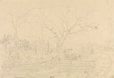 Z Milfielda