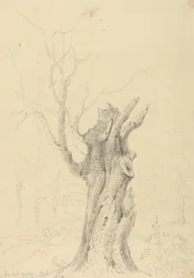 W parku Lorda Yarborough, Appuldurcombe, Isle of Wight