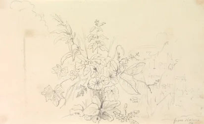 Szkic roślin i kamień milowy od natury, 3 czerwca 1826 r