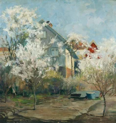 Widok ze studia