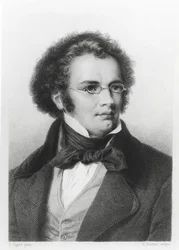 Portret Franza Schuberta (1797-1828) rytowany przez H. Roemer