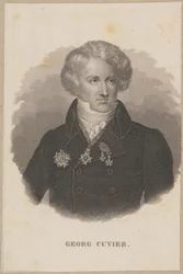 Georges Cuvier (1769 Montbéliard - 1832 Paryż) - francuski zoolog, twórca paleontologii