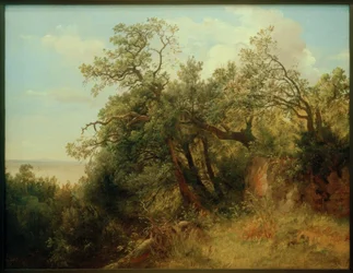 C. Morgenstern, W parku Ariccia