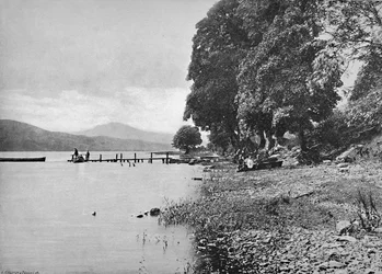 Bez ciebie, S 1896