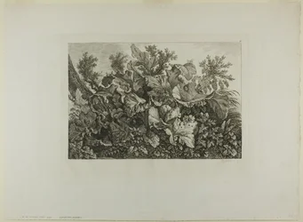 Rośliny bagienne