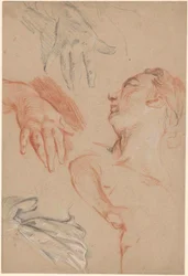 Arkusz studiów