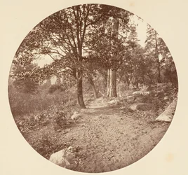 W Dolinie Yosemite, ca. 1878.