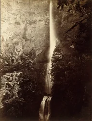 Kaskada wodospadu Multnomah, rzeka Columbia, 1867.