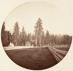 Strażnicy. C. Gaj, ca. 1878.