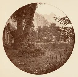 [Park Narodowy Yosemite, Kalifornia], ok. 1878.