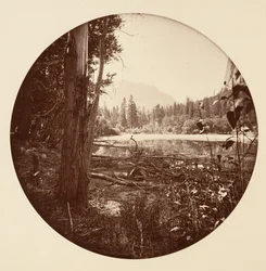 [Park Narodowy Yosemite, Kalifornia], ok. 1878.
