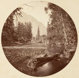Park Narodowy Yosemite, Kalifornia, około 1878.