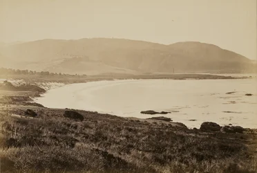 [Widok wybrzeża, Monterey]