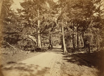 [Monterey, Kalifornia, Moss Avenue, 18 Mile Drive].