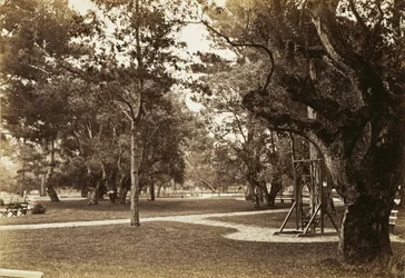 [Park w pobliżu Hotelu del Monte, Monterey?]