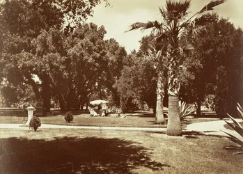 [Thurlow Lodge - Namiot i grupa rodzinna].