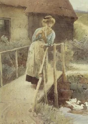 Oglądanie kaczek