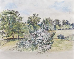 Sierpień z Naszego Okna, 2007 (pastel i wc na papierze)