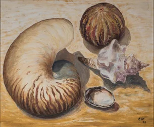 Muszelki, 1993 (olej na papierze)