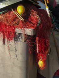 Skład - Nets, 2019 (zdjęcie)