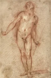 Stojący akt męski, 1637-38