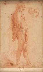 Studium stojącego aktu męskiego, ze studium głowy w profilu 3/4, c. 1640.