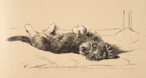 Rough Daschund Puppy Detail, 1930, Ilustracje z jego szkicownika używanego do Just Among Friends, Aldin, Cecil Charles Windsor (1870-1935), później opublikowane przez Eyre i Spottiswoode Limited, 1934, Cha