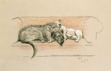 Wilczarz i Bull Terrier śpią na kanapie (pastel na papierze)