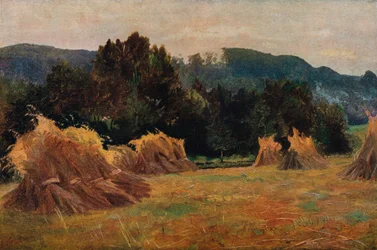 Dolina Meifod, 1873