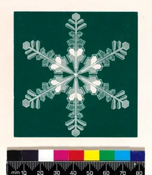 Kryształy śniegu