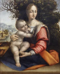 Madonna z Dzieciątkiem (Matka Boża z Drzewa)