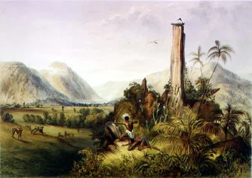 Pure-Piapa, niezwykły bazaltowy kamień w Gujanie, z „Widoków we wnętrzu Gujany”, rytowany przez Paula Gauci (fl.1834-67) wyd. przez Ackermanna