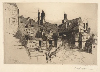 Żyto, Sussex