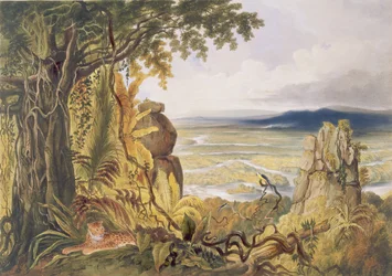 Skała Comuti lub Taquiare, na rzece Essequibo, z "Widoki we wnętrzu Gujany", rytowane przez George Barnard (fl.1832-90), opublikowane przez Ackermann, 1840